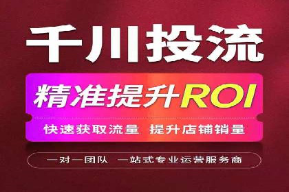 搜索引擎营销（SEM）的投放策略与效果评估——以某行业领先企业的案例分析